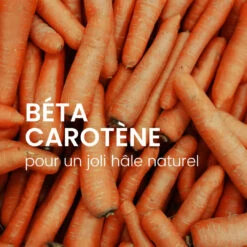 Routine Teint Terne 24 Routine Teint Terne -Endros Cosmetiques Boutique CREME BONNE MINE 1 ENDROCOSMETIQUES