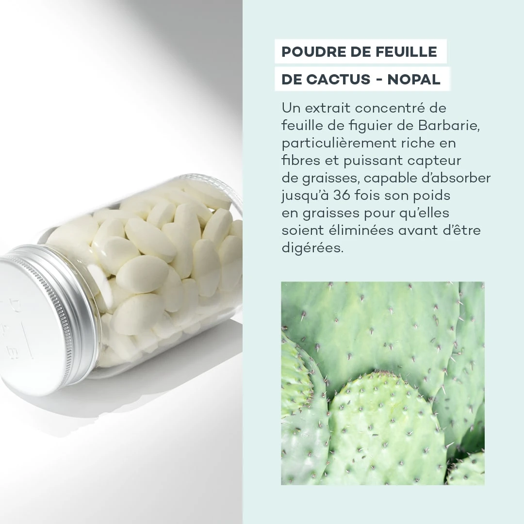 Absolu De Nopal 4 Absolu De Nopal – Image 4