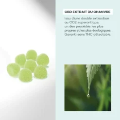 Be Hempy -Endros Cosmetiques Boutique D LAB E shop RefontevisuelsFP BeHempy Ingredients min