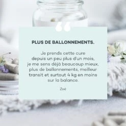 Détox Ventre Plat -Endros Cosmetiques Boutique D LAB E shop RefontevisuelsFP DetoxVentrePlat Avisclient min